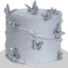 Light gray color cak