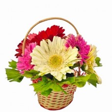 Birthday Flower