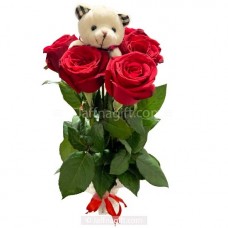 5 Red Roses with Ted