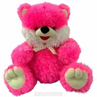 Teddy Bears