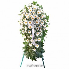Flowers of Peaceful 