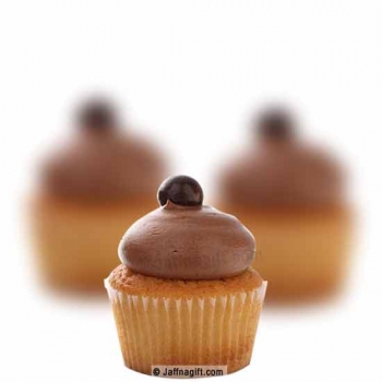 Chocolate Cupcakes