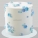 Blue Flower Cake 